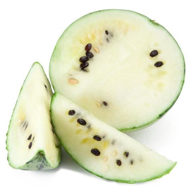 Citrullus lanatus Cream of Saskatchewan - Melancia Creme de Baunilha da Rússia, Melancia Creme de Saskatchewan