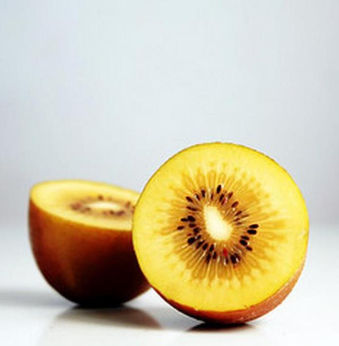 Actinidia chinensis - Kiwi Dourado, Kiwi Ouro, Golden Kiwi