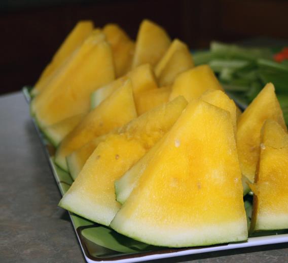 Citrullus lanatus Janosik - Melancia Janosik, Melancia de Polpa Amarelo Ouro Polonesa, Melancia Amarela