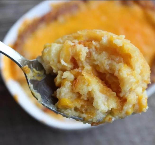 Zea mays Paraguayan Chipa (C.O) - Milho Chipa Paraguaio (C.O)