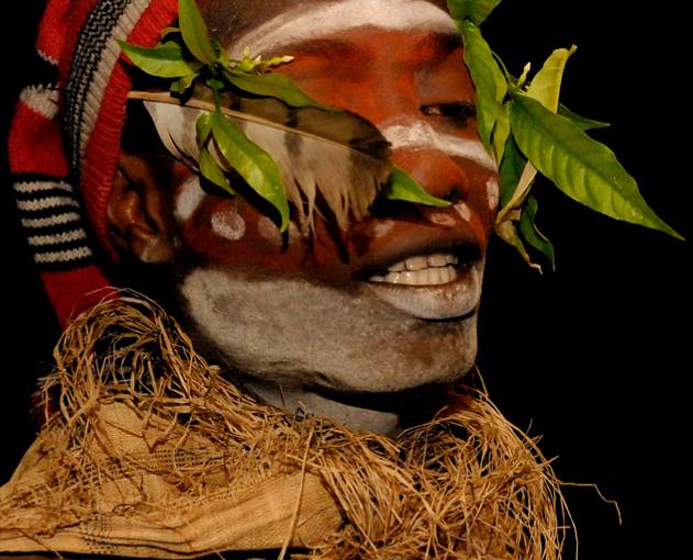 Tabernanthe iboga - Iboga, Árvore da Sabedoria, Árvore do Conhecimento, Ibogaina