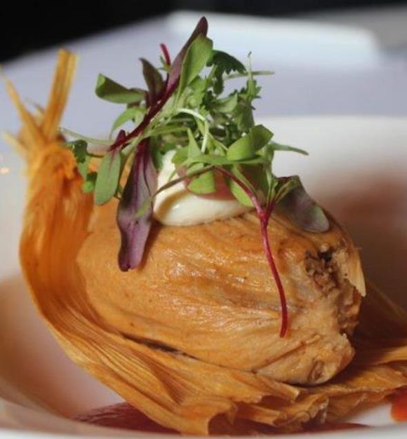 Zea mays Papa's White (Certificação Orgânica) - Milho Branco Marfim de Papas, Milho Marfim Papa's Ed Schultz