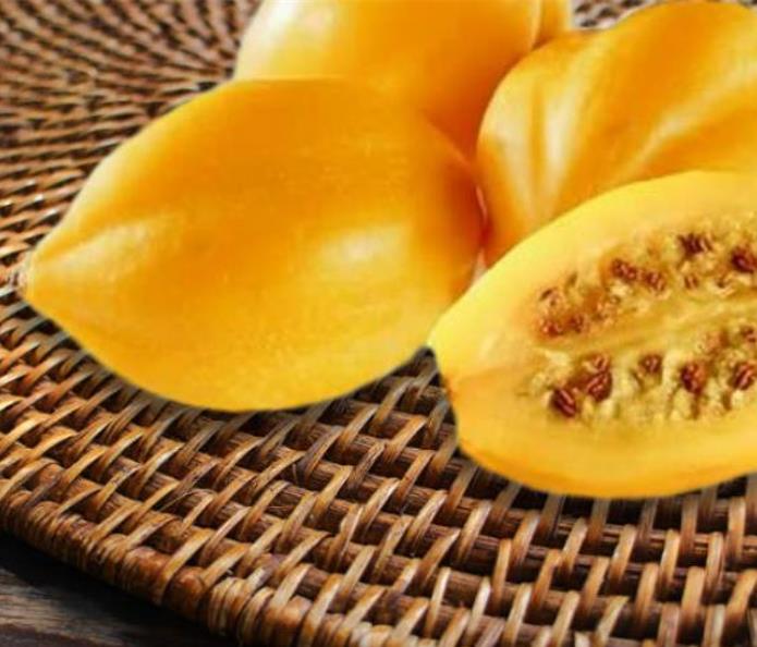 Carica pubescens Cobquecura (Vasconcellea pubescens Cobquecura) - Mamão Papaia Cobquecura, Mamão do Chile, Mamão de Cobq