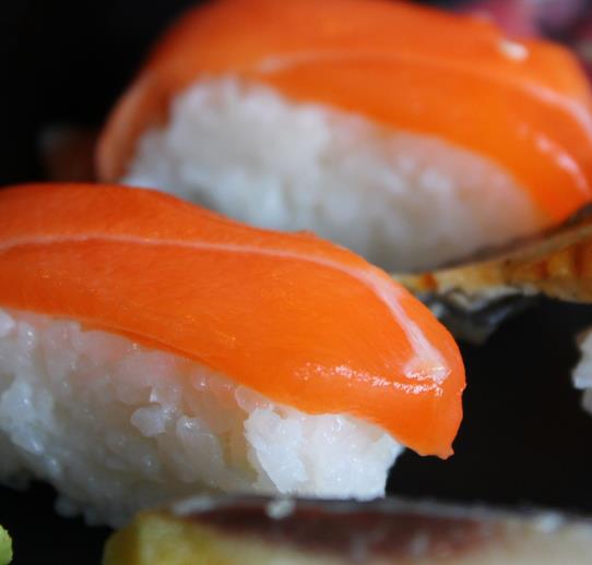 Oryza sativa japonica Koshihikari (certificação orgânica) - Arroz Japonês(variedade: Japônica koshihikari), JAPANESE SUS