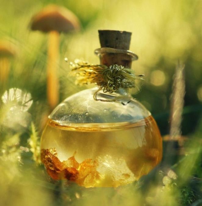 Schisandra chinensis - Cereja dos 5 Sabores (Wu-Wei-Zi), Magnolia Berry, Limonnik, Uva Vermelha