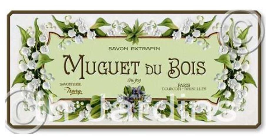 Convallaria majalis - Lirio do Vale, Muguet, Lírio de Maio, Lily of the Valley