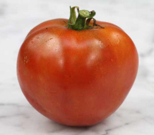 Solanum lycopersicon Tappys heritage (Certificação Orgânica) - Tomate Patrimônio de Tappy