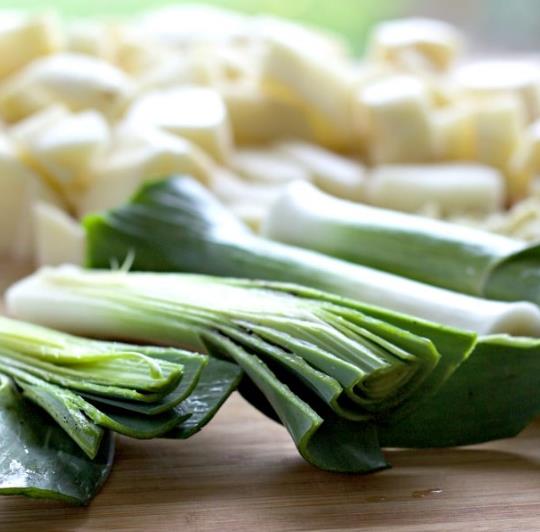 Allium ampeloprasum Porrum Geant De Suisse - Alho Poró gigante da Suíça, Alho-Poró gigante Suíço verão precoce, Alho Por
