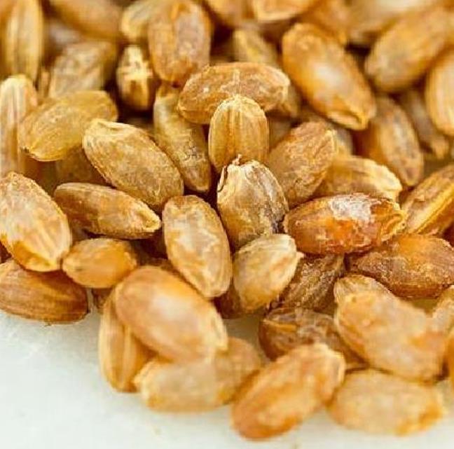 Oryza sativa Akamuro (Certificação Orgânica) - Arroz Akamuro, Arroz vermelho