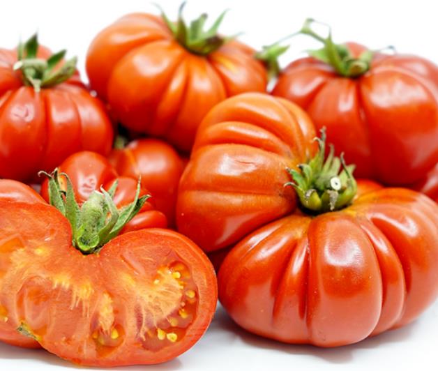 Solanum lycopersicon Costoluto genovese (Orgânico) -  Tomate Costoluto Fiorentino