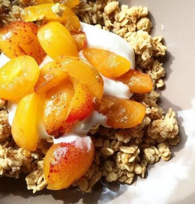 Prunus domestica Subsp. syriaca 'Nancy Red Speckled' - Ameixeira Mel de Lorraine, Ameixa Mirabelle, Mirabelle Plum, Mira