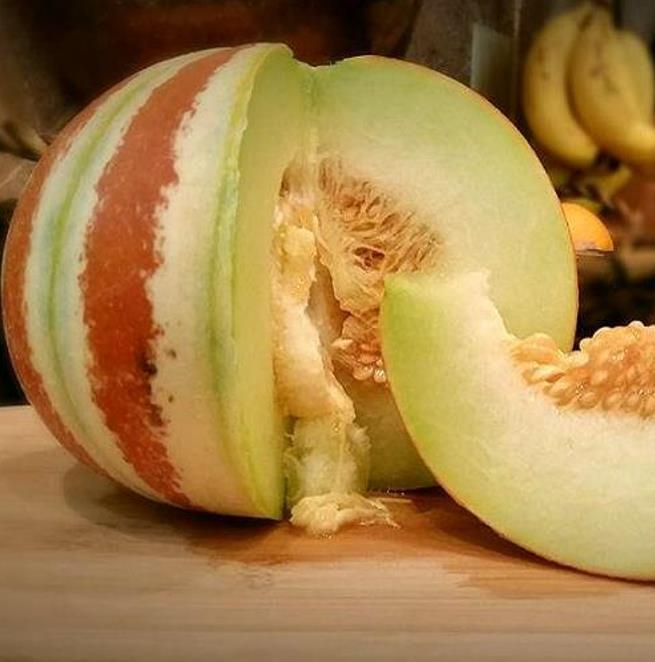 Cucumis melo Kajari (C.O) - Melão Kajari, Melão Mel, Honeydew Melon