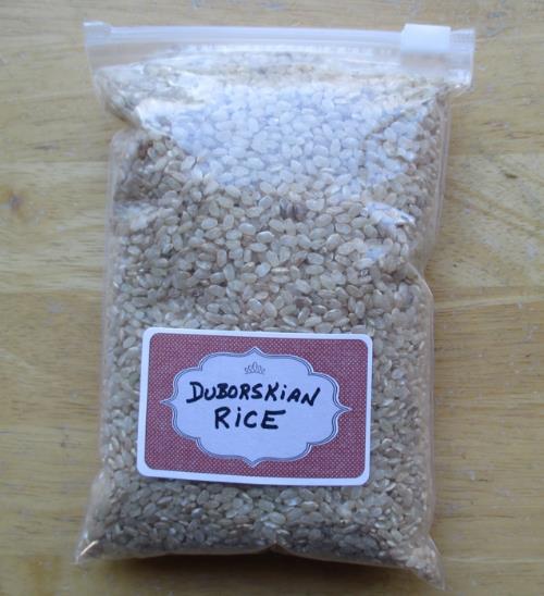 Oryza sativa Duborskian (Certificação Orgânica) - Arroz Duborskian, Arroz de montanha