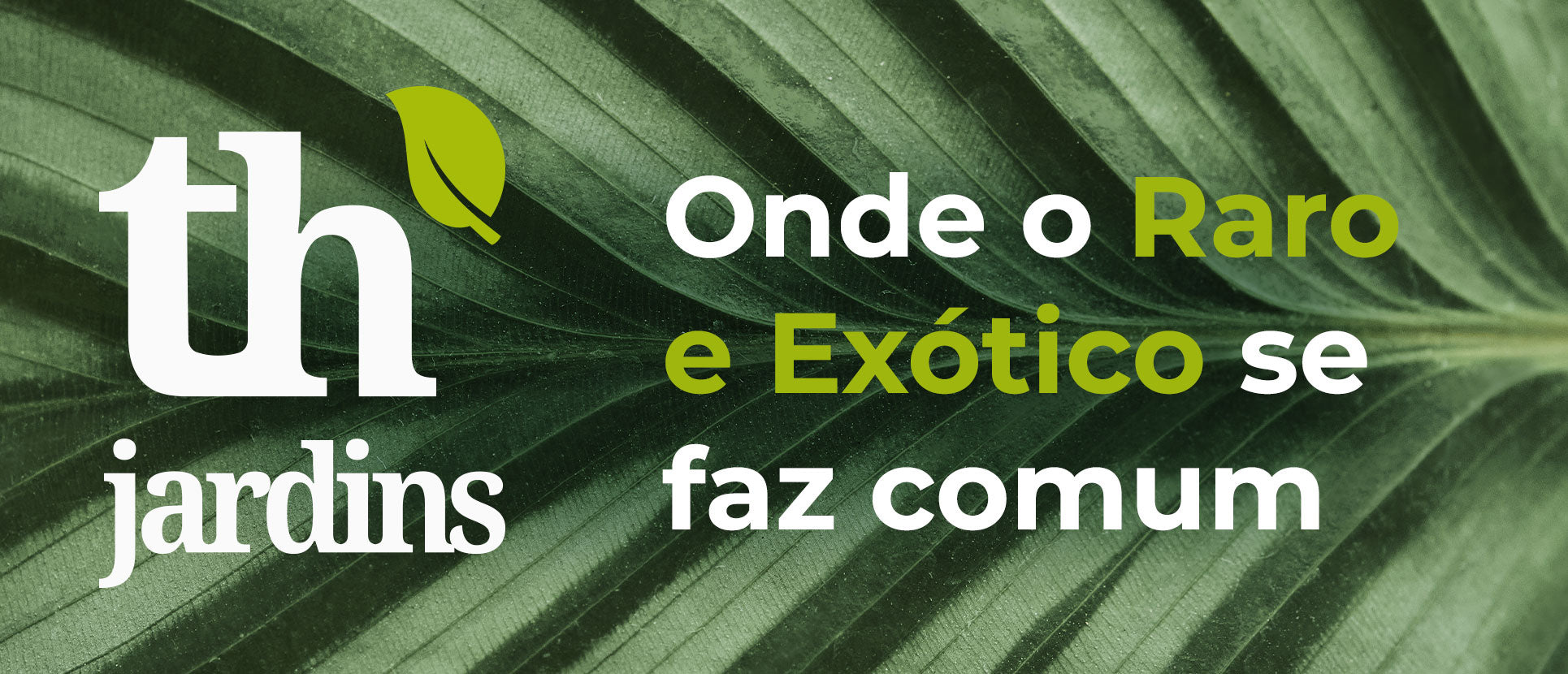 Desktop Slider Image