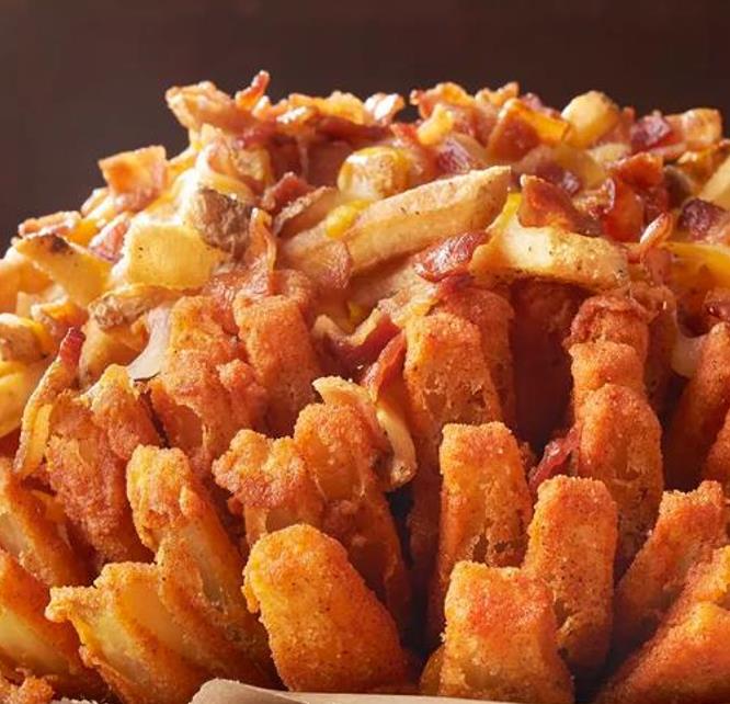 Allium cepa Mammoth Red Onion (C.O) - Cebola Mamute Vermelha, Cebola Gigante Vermelha