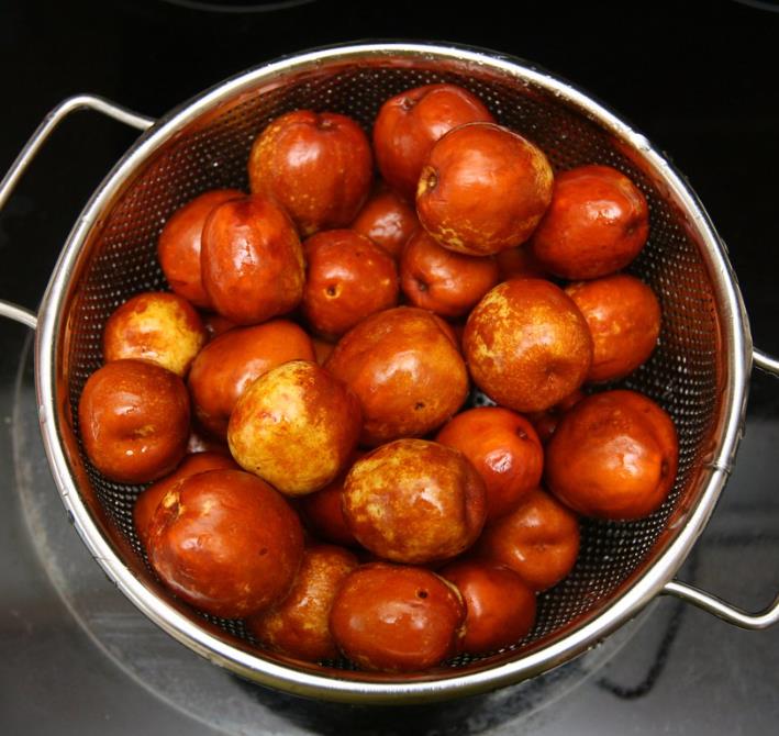 Ziziphus jujuba - Jujuba Chinesa, Jujubeira, Tâmara Vermelha, Tâmara Chinesa