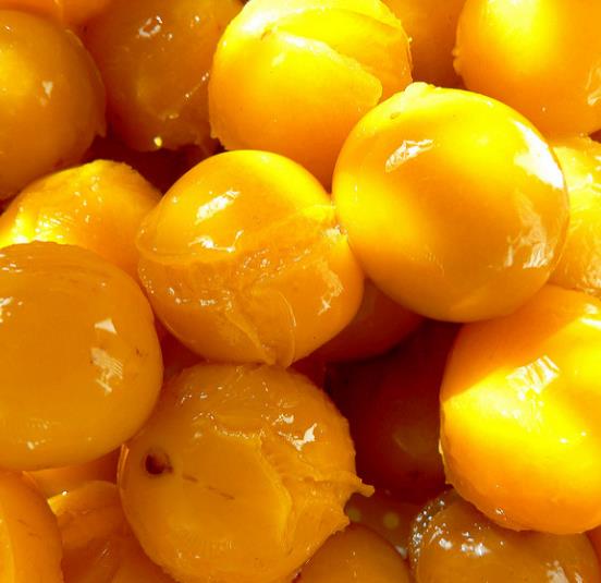 Prunus domestica 'Golden Honey' - Ameixeira, Ameixa Mel Dourado