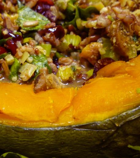 Cucurbita Maxima Hubbard Blue Giant (Certificação Orgânica) - Abóbora Hubbard Gigante, Abóbora Azul Colossal