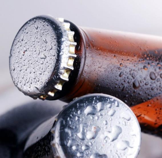 Marrubium vulgare - Marroio, Marroio branco, Hortelã de folha grossa, Hortelã do Maranhão, Incenso