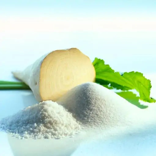 Beta Vulgaris Var. Saccharifera - Beterraba açucareira, beterraba sacarina, sugar beet, betterave