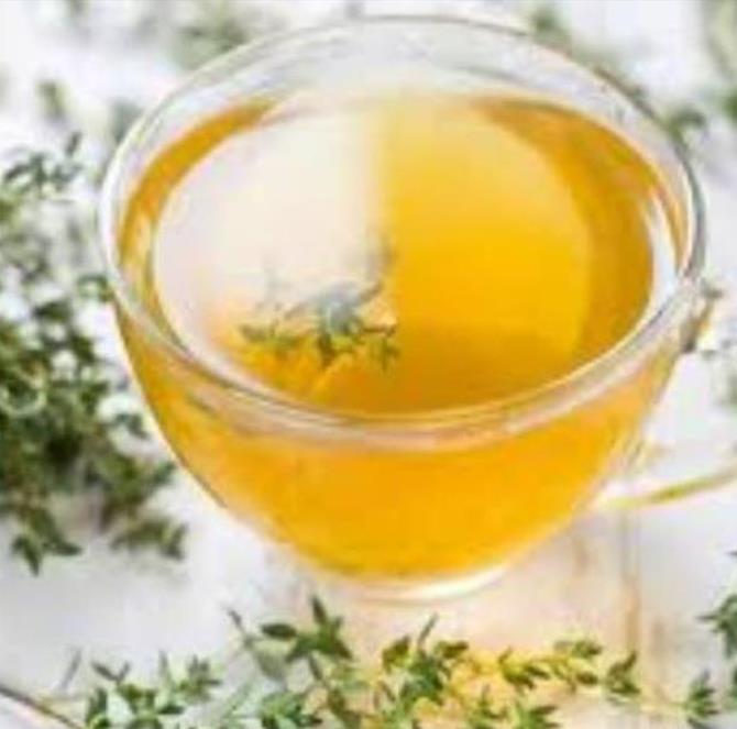 Thymus citriodorus 'Fragantissimus Orange' - Tomilho de Laranja, Tomilho Laranja, Timo Laranja