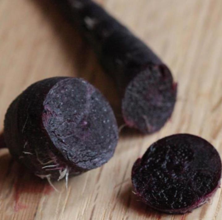 Daucus carota 'Pusa Asita Black' (C. O) - Cenoura roxa-enegrecida interior e exterior, Cenoura negra, Cenoura colorida