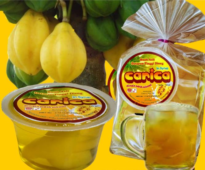 Carica pubescens Cobquecura (Vasconcellea pubescens Cobquecura) - Mamão Papaia Cobquecura, Mamão do Chile, Mamão de Cobq