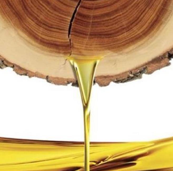 Santalum spicatum - Sândalo, Sândalo Australiano, Sandalwood, Quandong