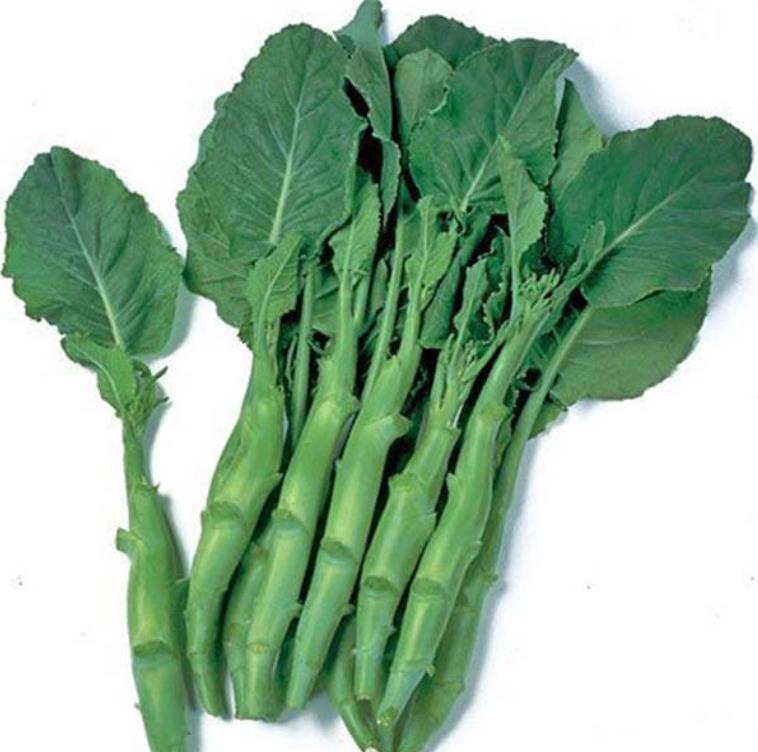 Brassica oleracea Kailaan (Gai Lan) - Couve Chinesa, Brócolis Chinês Kailaan (Gai Lan)