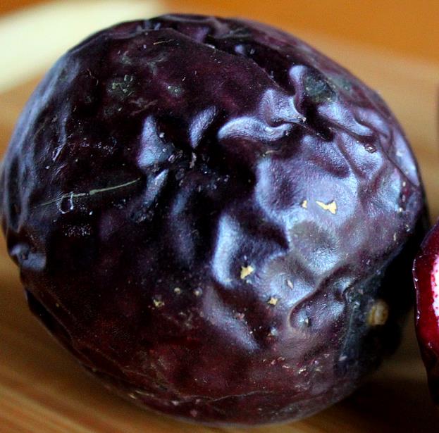 Passiflora edulis 'Purple Giant' - Maracujá Roxo Gigante, Videira da Paixão