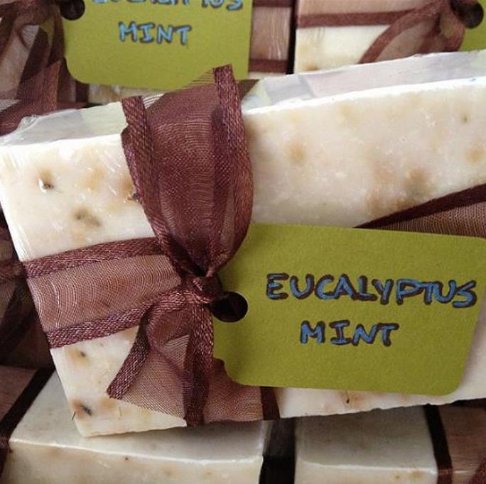 Eucalyptus amygdalina - Eucalipto Goma de Hortelã-Pimenta Preta, Eucalipto Menta, Black Peppermint Eucal