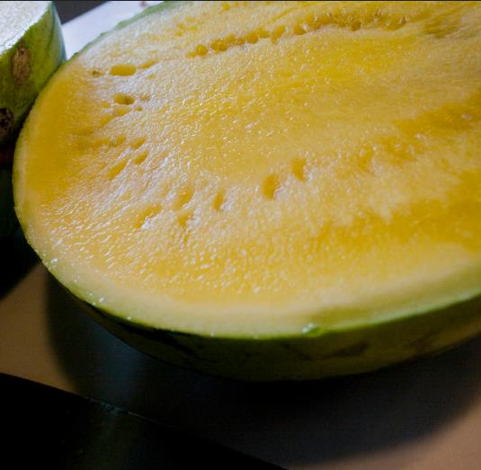 Citrullus lanatus Janosik - Melancia Janosik, Melancia de Polpa Amarelo Ouro Polonesa, Melancia Amarela