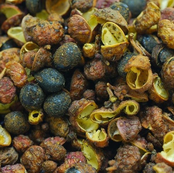 Zanthoxylum simulans - Pimenta sichuan, Pimenta szechuan, Szechwan pepper, Gujart