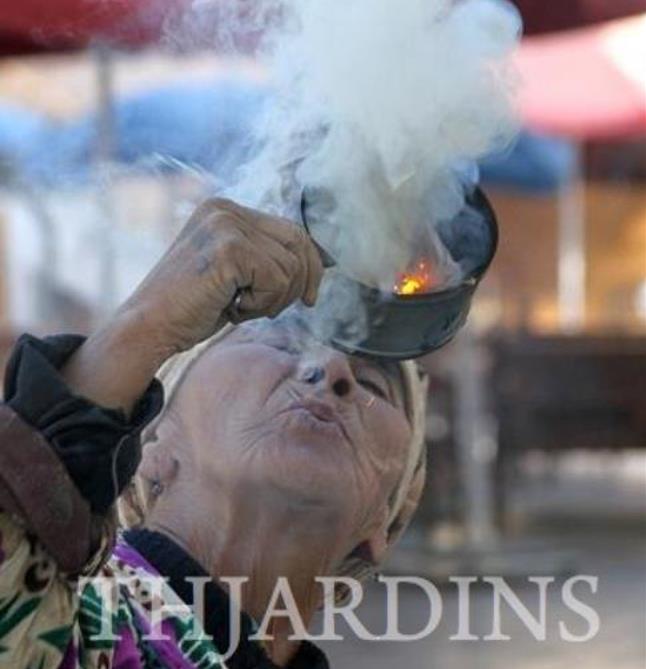 Peganum harmala - Arruda Síria, Arruda Selvagem, Harmal, Arruda Africana