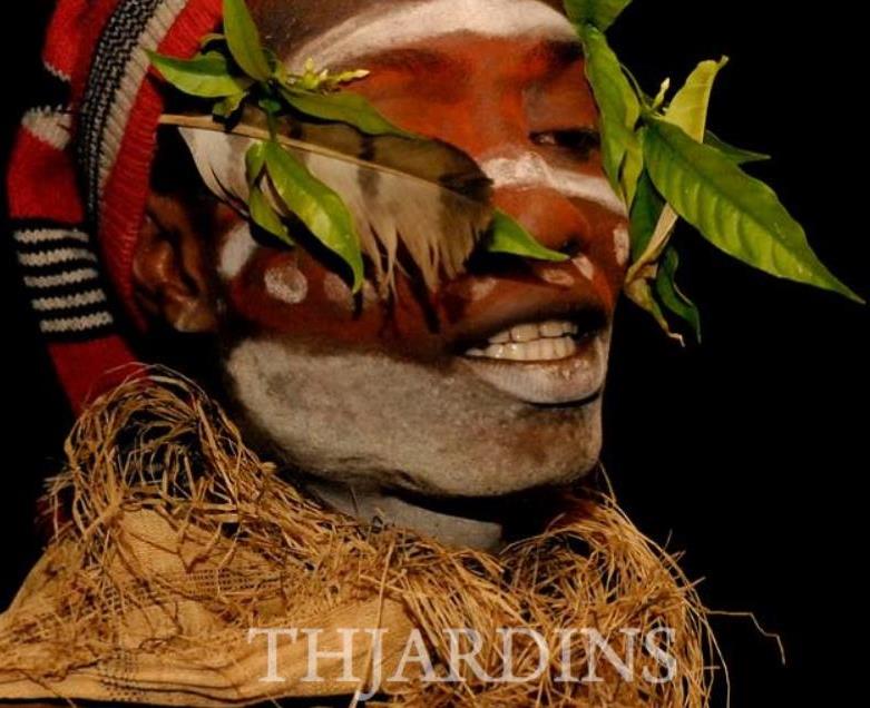 Tabernanthe iboga (Muda) - Iboga, Árvore da Sabedoria, Árvore do Conhecimento, Ibogaina