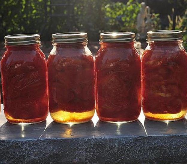 Solanum lycopersicon Roma VF - Tomate Italiano Pomodoro Roma VF, Tomate Pomo d'Oro Roma VF