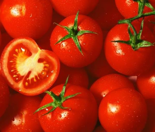 Solanum lycopersicon Pimpinellifolium C.O. (Certificação orgânica) - Tomate Groselha, Tomate cereja selvagem