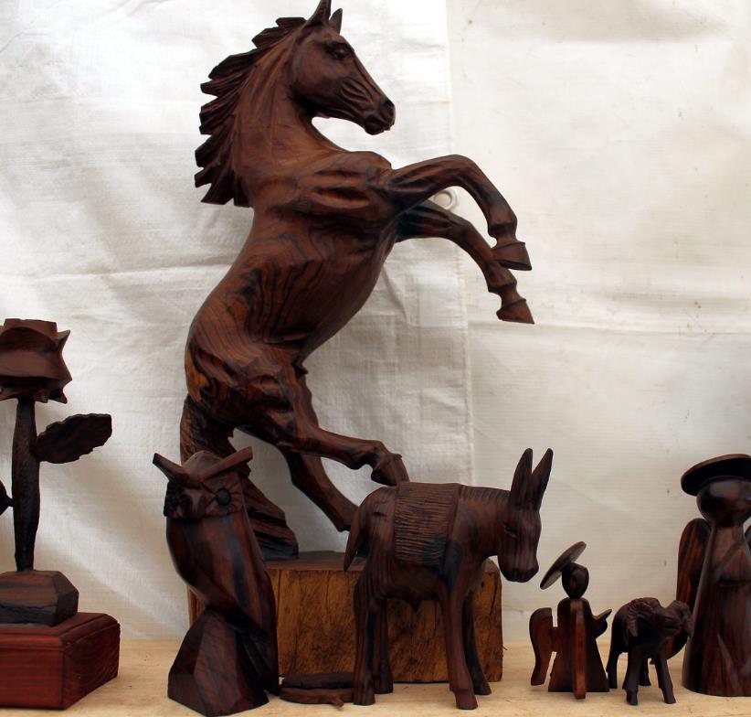 Olneya tesota - Madeira de Ferro do Deserto, Pau-Ferro do Deserto, Desert Ironwood