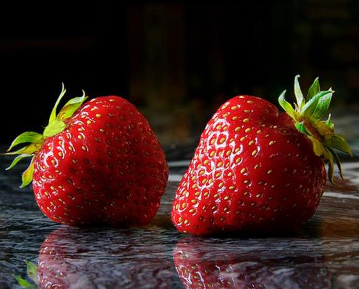 Fragaria vesca  Alexandra - Morango Alexandra