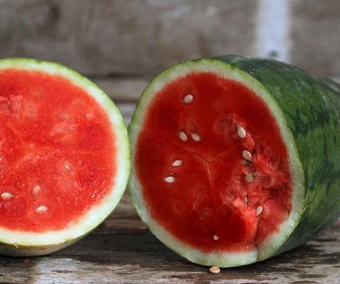 Citrullus lanatus Strawberry - Melancia Morango