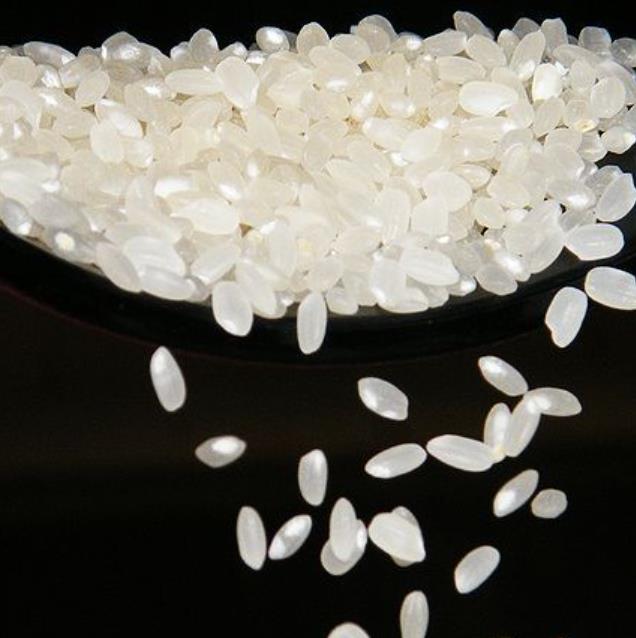 Oryza sativa japonica Koshihikari (certificação orgânica) - Arroz Japonês(variedade: Japônica koshihikari), JAPANESE SUS