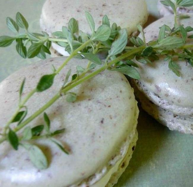 Thymus vulgaris Provence - Tomilho Francês, Tomilho da Provença, Tomilho Provençal, Timo Francês