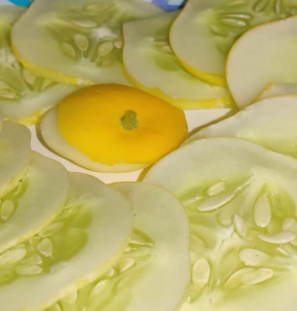 Cucumis melo Lemon Cucumber - Melão Pepino Doce