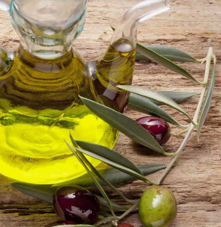 Olea europaea L. var. europaea - Oliveira, Azeitona, Oliveira Selvagem