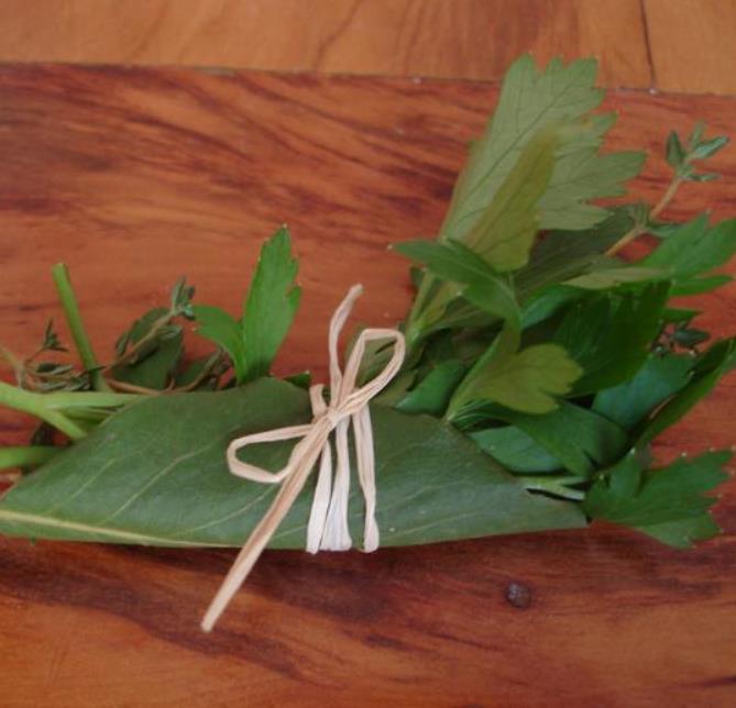 Thymus praecox - Tomilho Rastejante, Gramado Tomilho, Grama Aromática, Tomilho Mãe, Mother of Thy