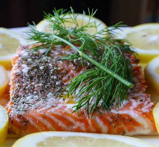 Anethum graveolens Mammoth (C.O) - Dill Mamute, Endro Gigante, Aneto Mamute