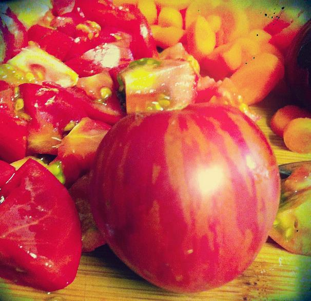 Solanum lycopersicon Tigerella Improved - Tomate Tigrado, Tomate Tigerella