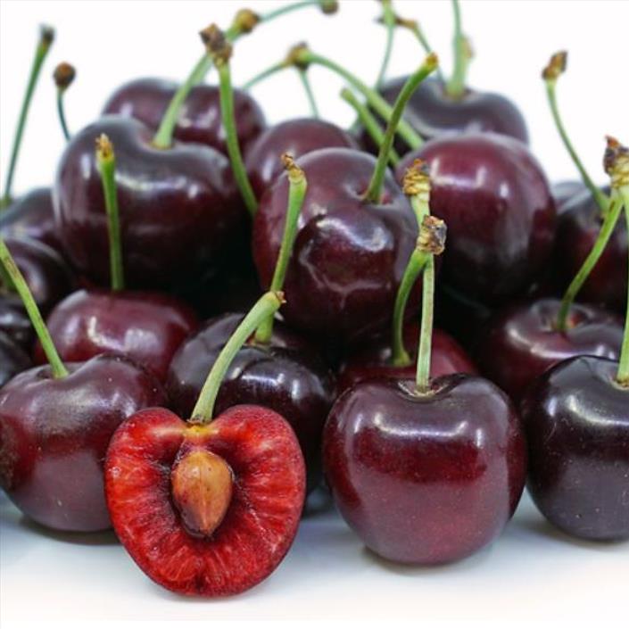 Prunus avium 'Bing' + Prunus avium 'Rainier' - Cereja Doce, Cereja de Natal