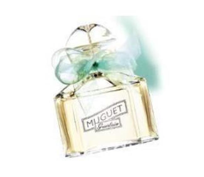 Convallaria majalis - Lirio do Vale, Muguet, Lírio de Maio, Lily of the Valley