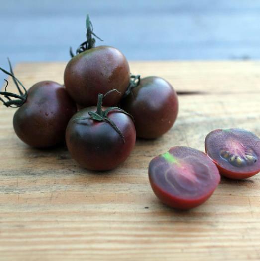 Solanum lycopersicon Black Cherry - Tomate Cereja Preto